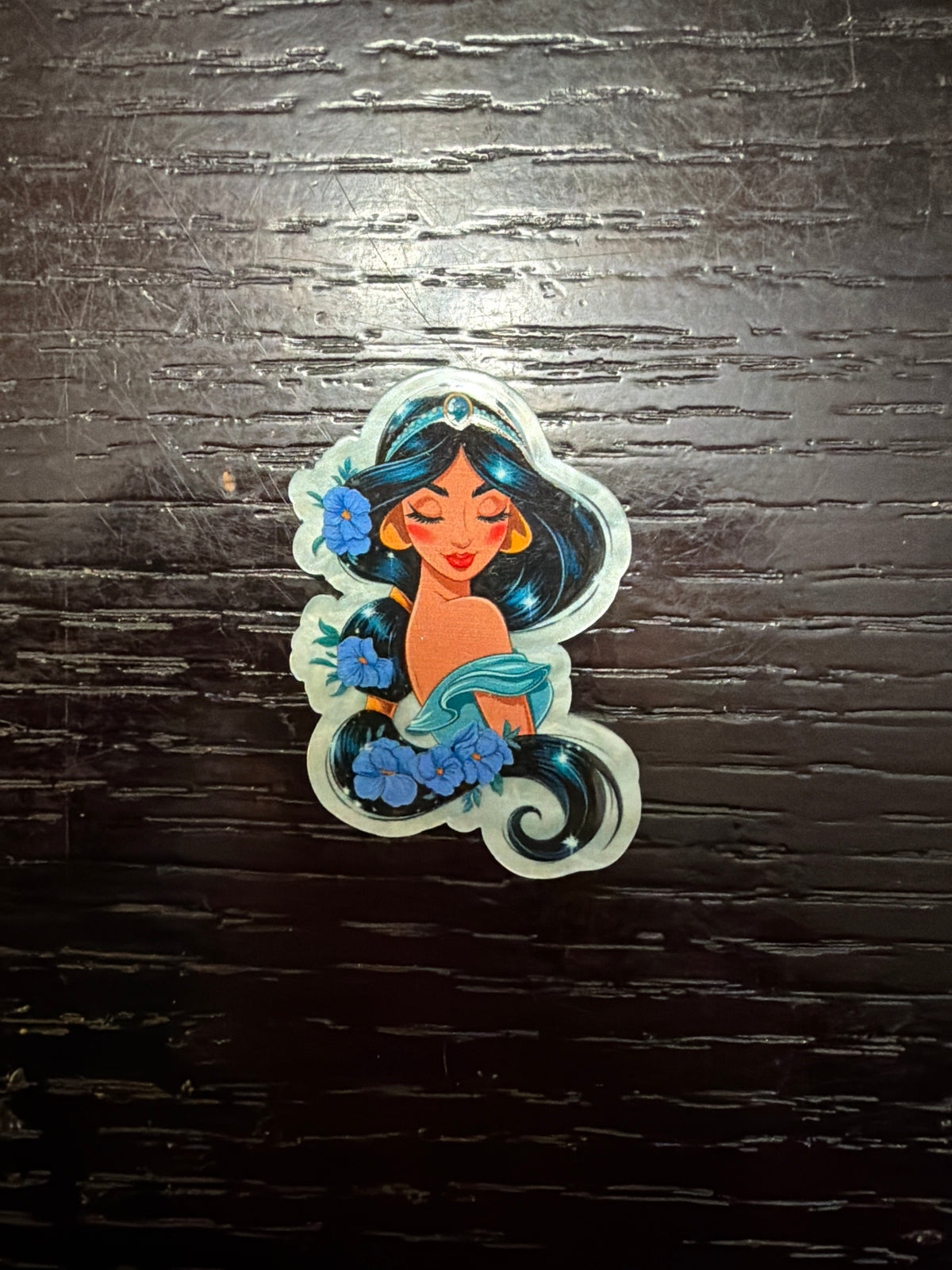 Princess Jasmine badge reel