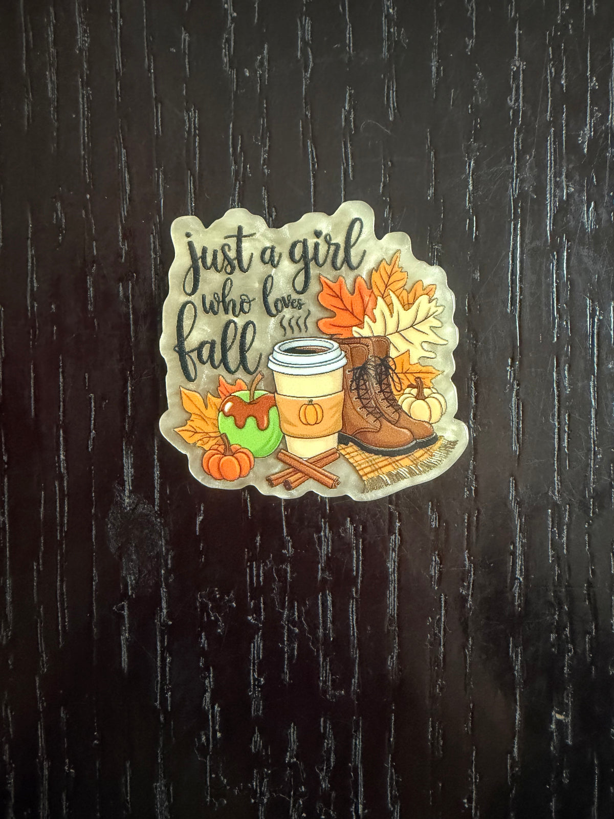 Fall badge reel