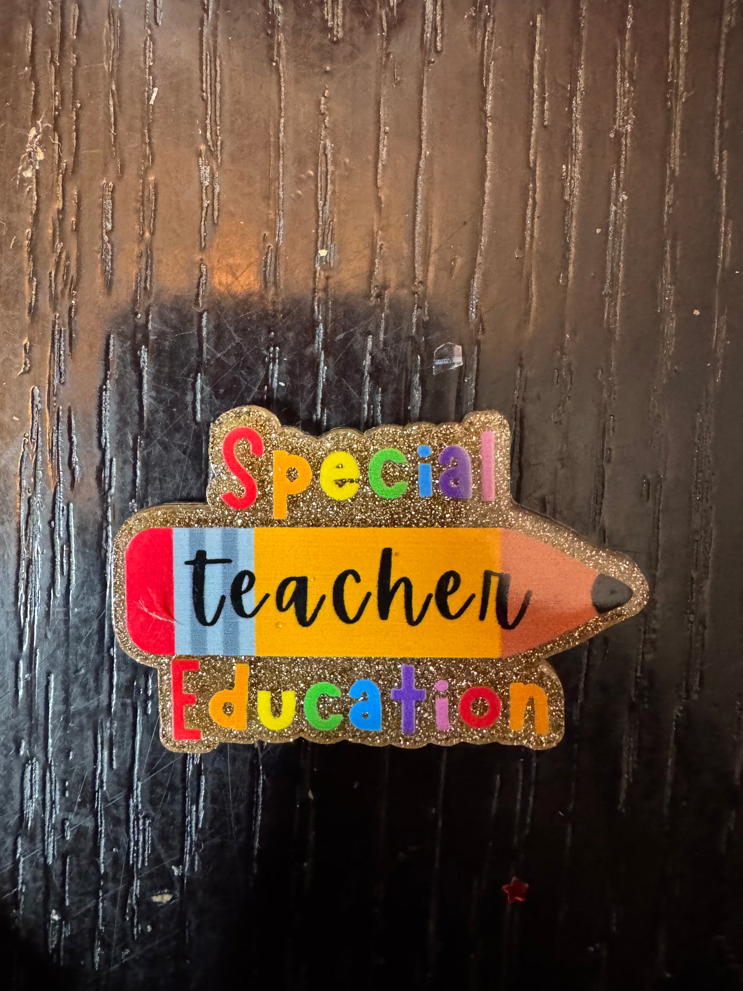 Special education teacher badge reel