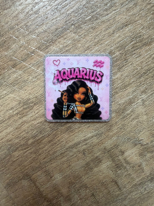 Aquarius badge reel