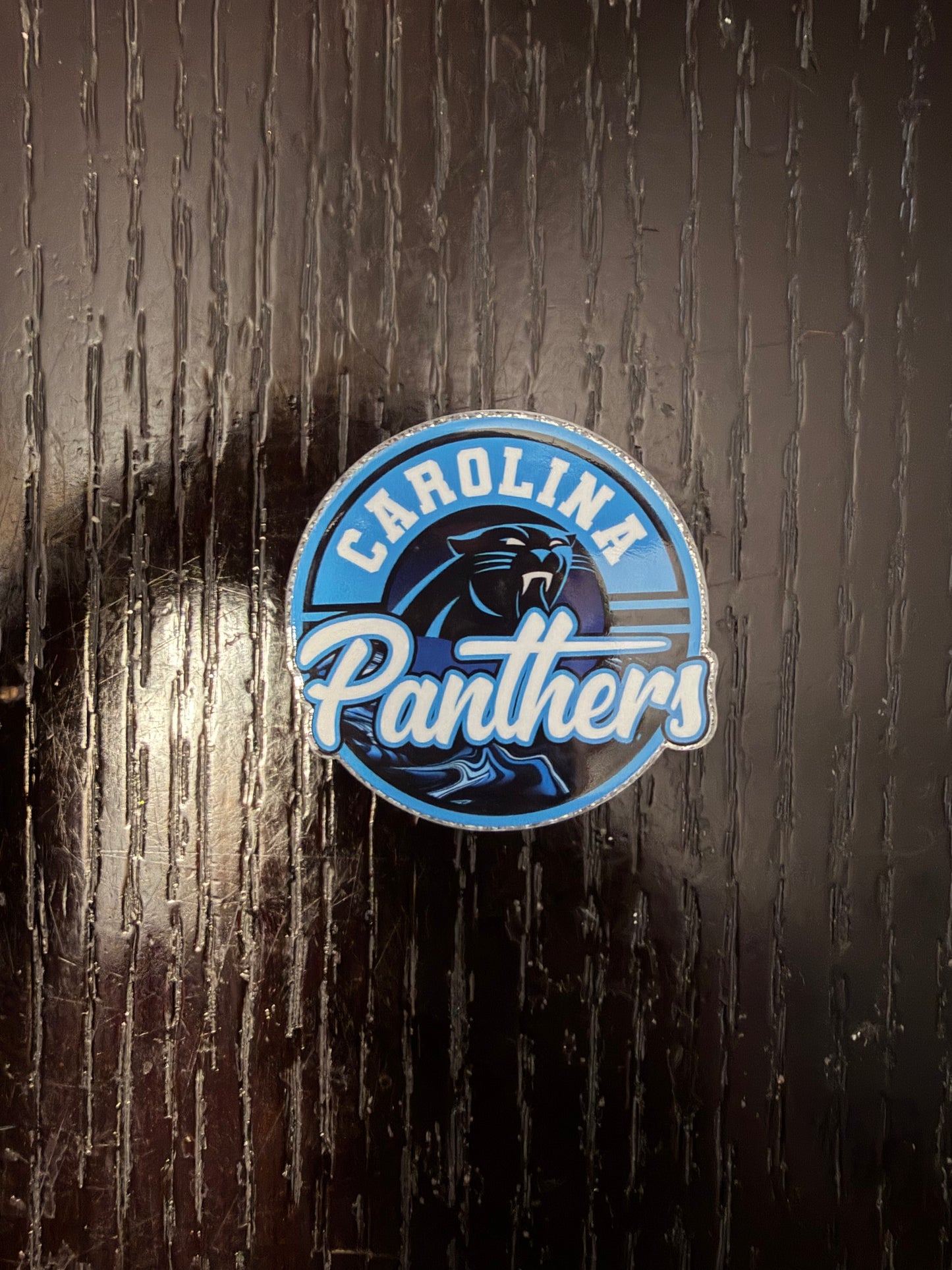 Panthers badge reel